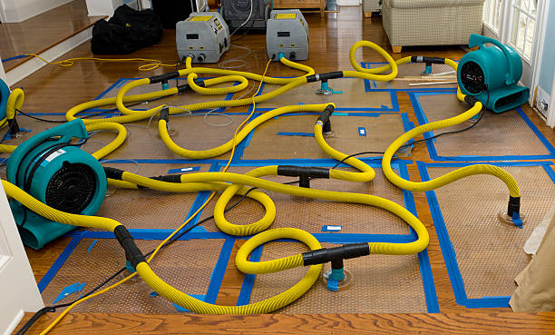 Professional Emergency Water Removal technician working in East Islip, NY